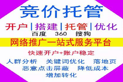 百度SEM推广案例：揭秘行业领军企业的成功之路